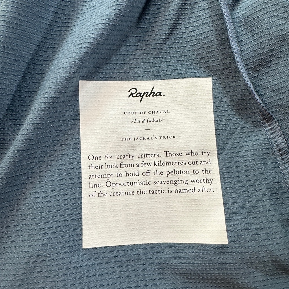 Rapha Flyweight Cycling Jersey Women’s Grey - Picture 7 of 10